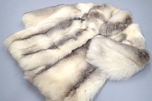 SAGA FOX プラチナフォックス ハーフコート お売りいただきました。 毛皮買取はお任せ下さい！