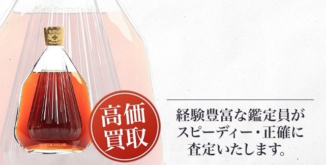 カミュ マルキーズ