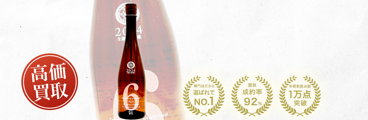 新政 No.6 R-type