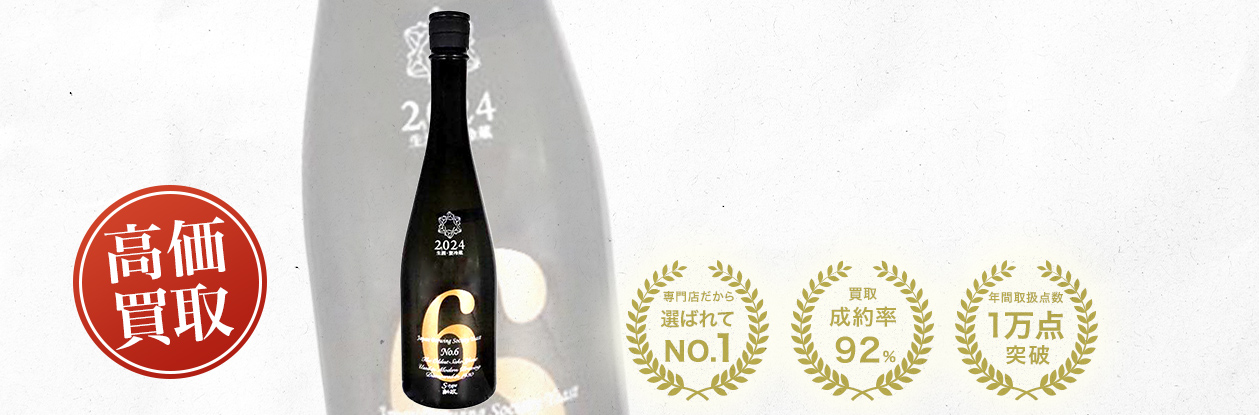 新政 No.6 S-type