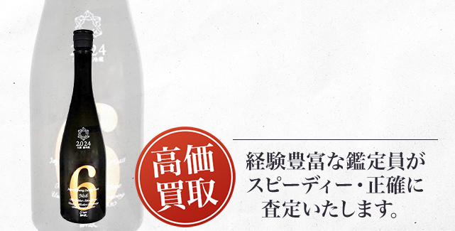 新政 No.6 S-type