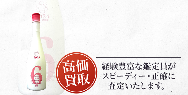 新政 No6 X-type