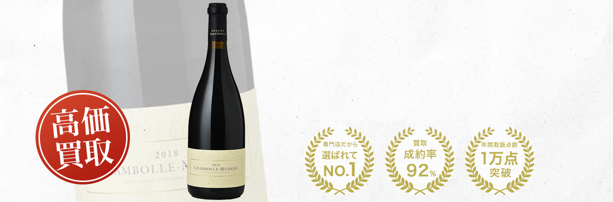 アミオ・セルヴェル