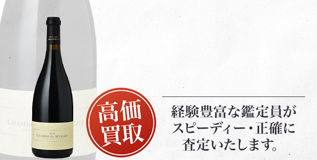 アミオ・セルヴェル